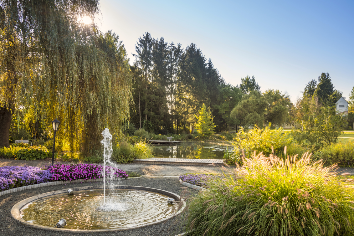 Gartenlandschaft mit Teich in Bad Waltersdorf