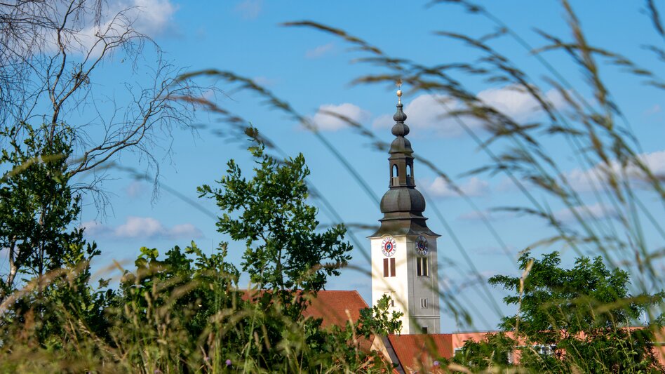 Blick aus der Ferne auf die Stadtpfarrkirche Fürstenfeld