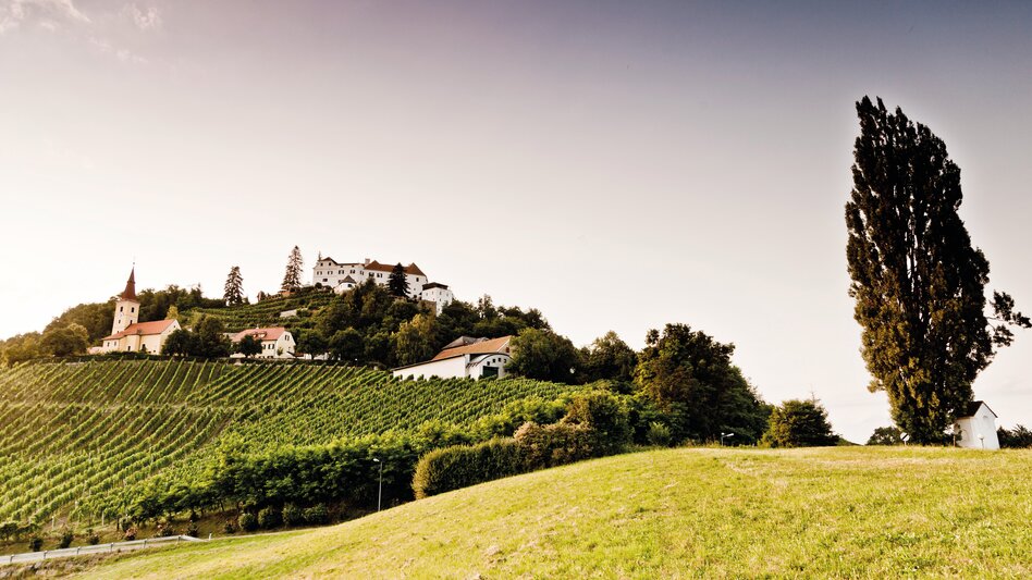 Schloss Kapfenstein im Thermen- & Vulkanland im Südosten der Steiermark