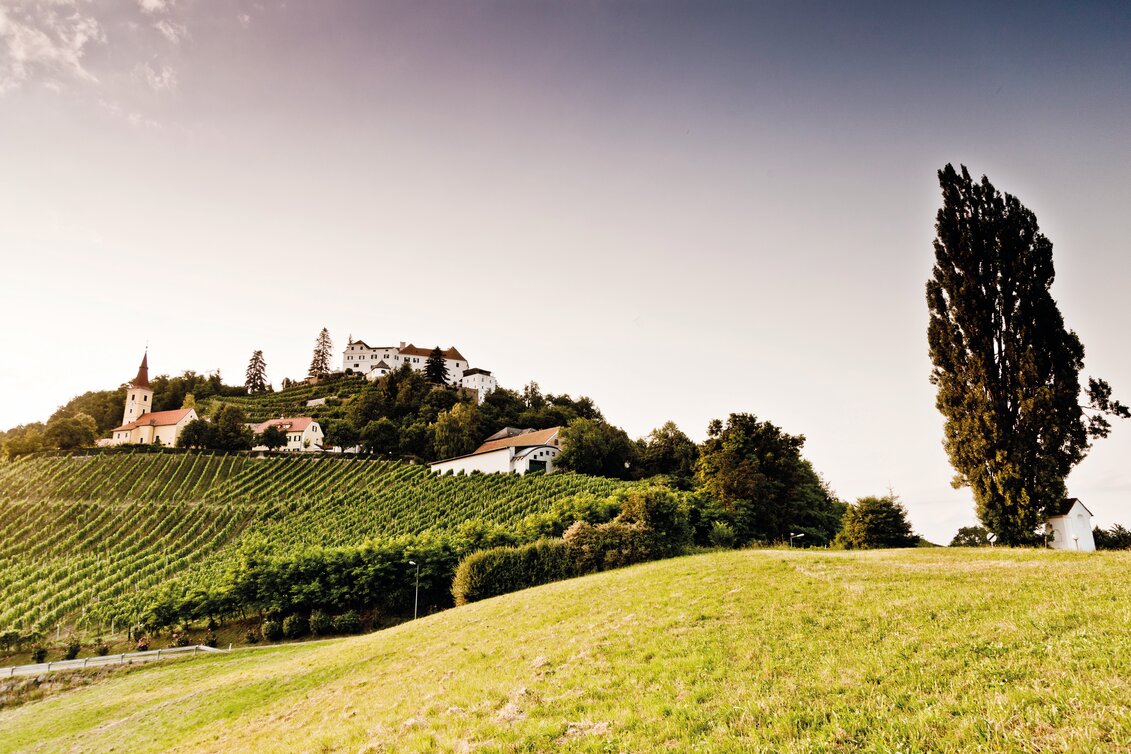 Schloss Kapfenstein  | © Thermen- & Vulkanland | Werner Krug