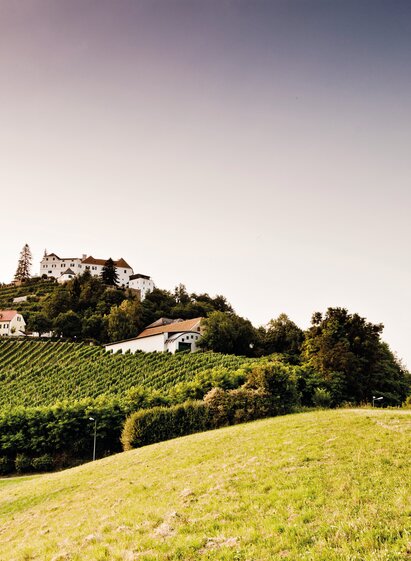 Schloss Kapfenstein  | © Thermen- & Vulkanland | Werner Krug