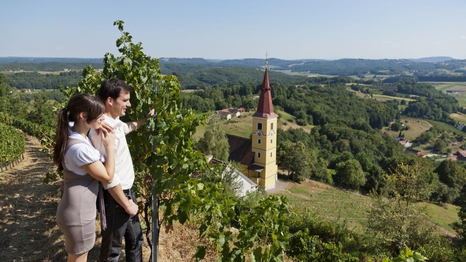 Weingärten um Schloss Kapfenstein im Thermen- & Vulkanland im Südosten der Steiermark