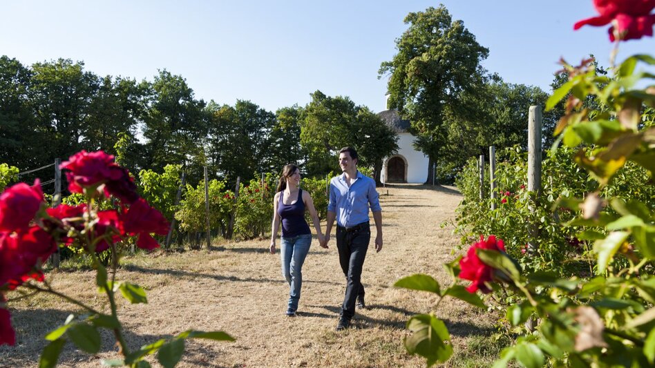 Weinwandern in Kapfenstein im Thermen- & Vulkanland im Südosten der Steiermark