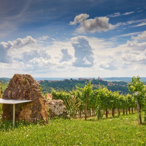 Weinweg der Sinne in St. Anna am Aigen | © Thermen- & Vulkanland | Edgar Strasser