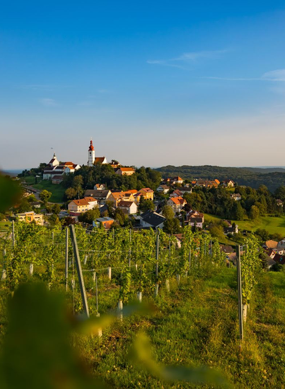 Blick auf den Himmelsberg in Straden | © Thermen- & Vulkanland | Werner Krug