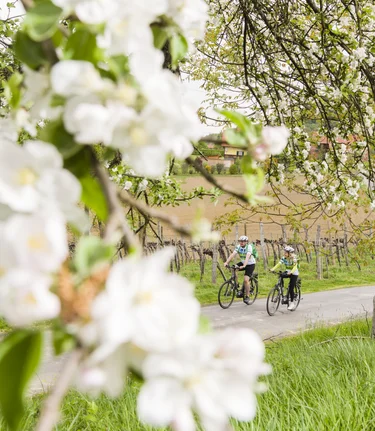 Früher Frühling in Bad Radkersburg | © Thermen- & Vulkanland | pixelmaker.at