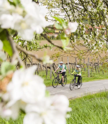 Früher Frühling in Bad Radkersburg | © Thermen- & Vulkanland | pixelmaker.at