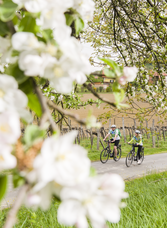 Couple cycling on their bikes through the surroundings of Bad Radkersburg at Thermen- & Vulkanland Styria