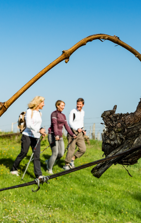 Weinwandern in Bad Radkersburg | © Thermen- & Vulkanland | pixelmaker.at