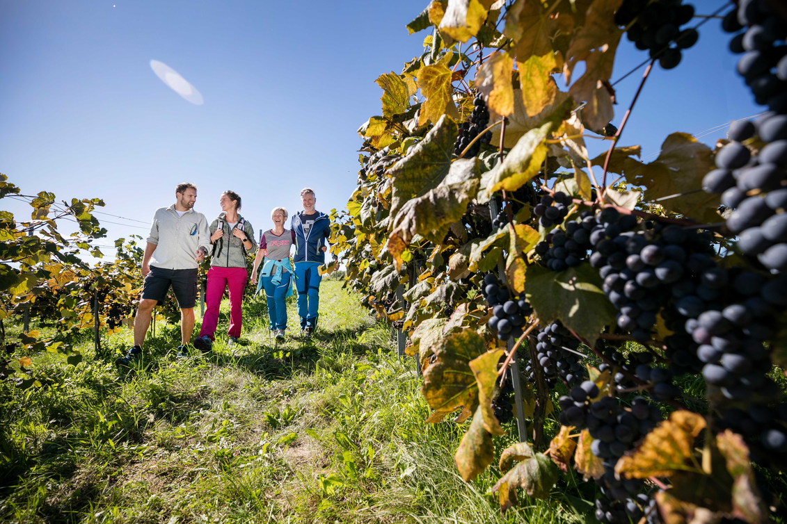 Familienzeit in der Weinregion Südoststeiermark | © Thermen- & Vulkanland | Harald Eisenberger