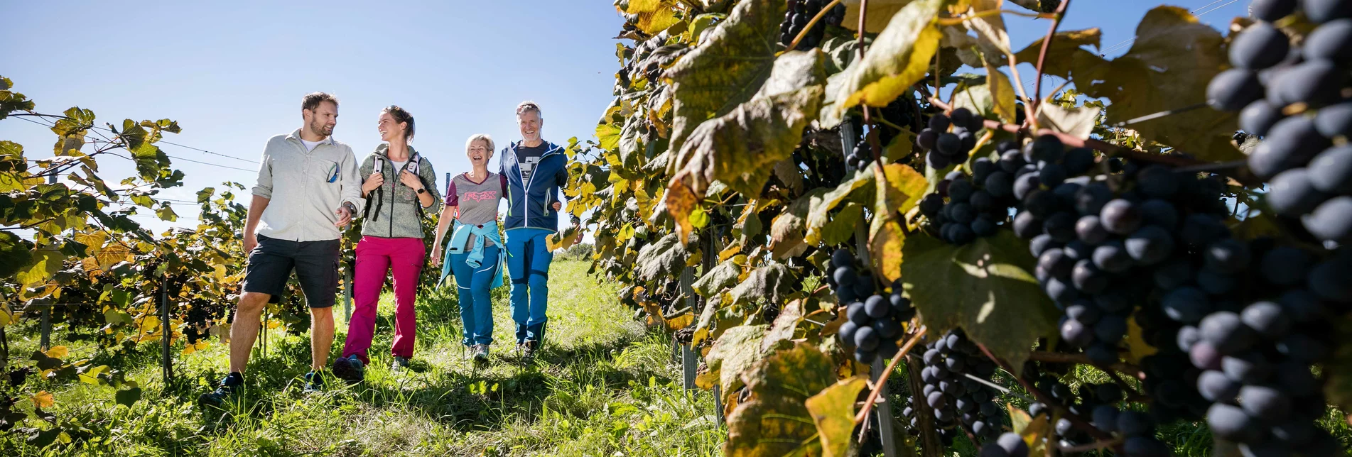 Familienzeit in der Weinregion Südoststeiermark | © Thermen- & Vulkanland | Harald Eisenberger