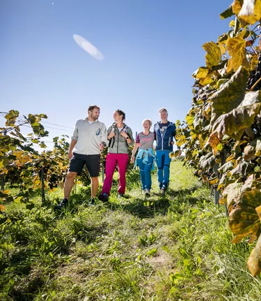 Familienzeit in der Weinregion Südoststeiermark | © Thermen- & Vulkanland | Harald Eisenberger