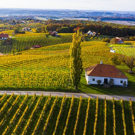 Herbstlandschaft in Klöch | © Thermenland Steiermark/Oststeiermark | pixelmaker.at