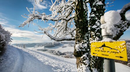 Winterwandern am Herzspurweg | © Thermen- & Vulkanland  | Harald Eisenberger