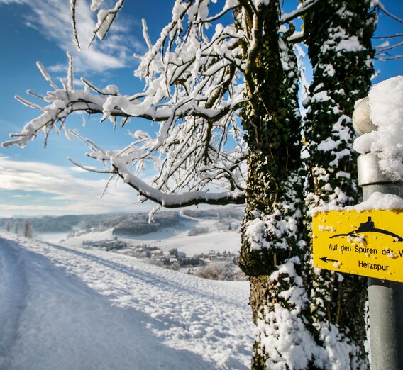 Winterwandern am Herzspurweg in Bad Gleichenberg | © Thermen- & Vulkanland  | Harald Eisenberger