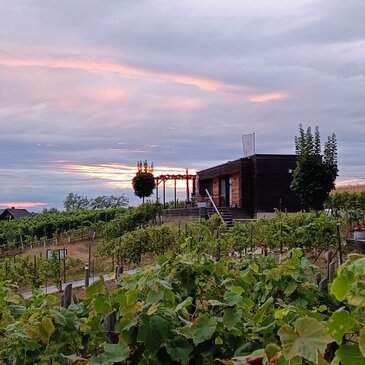 Blick auf die Anlage rund um das kleinste Restaurant Österreichs