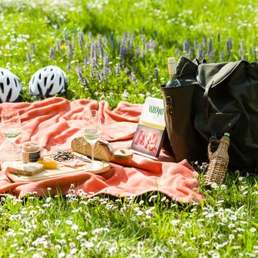 Picknickkorb mit Picknickdecke 