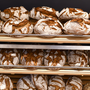 Frisches Brot | © Thermen- & Vulkanland | Christian Thomaser
