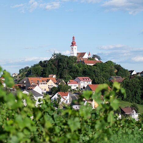 Aussicht auf den Himmelsberg in Straden | © Thermen- & Vulkanland | Carletto Photography