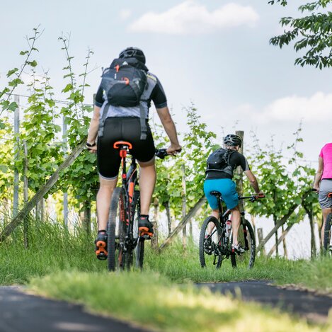 Radfahren in den Weinbergen | © Thermen- & Vulkanland | Harald Eisenberger