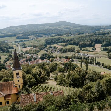 Die Aussicht genießen auf Schloss Kapfenstein über den Weinbergen