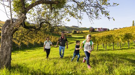 Wanderung mit der Familie  | ©pixelmaker.at | Robert Sommerauer