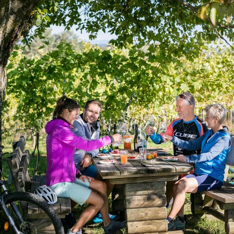 Pause beim Genussradeln | © Thermen- & Vulkanland | Harald Eisenberger