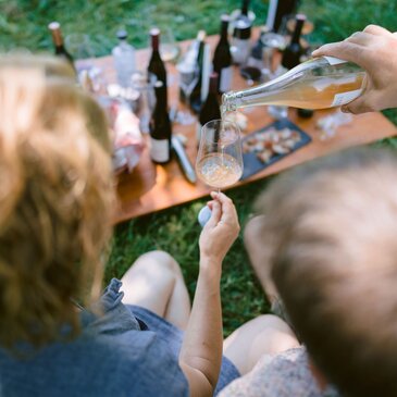 Bio-Weine Verkostung Straden Vinothek | © Monschein
