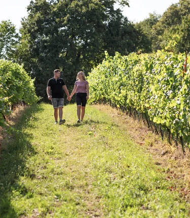 Weinwandern in Klöch | © Thermen- & Vulkanland | Kump Photography