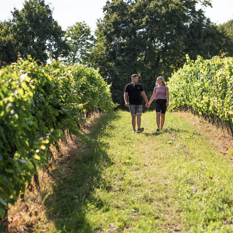 Weinwandern in Klöch | © Thermen- & Vulkanland | Kump Photography