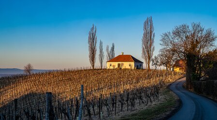 Gentle hills and mild temperatures | © Thermen- & Vulkanland | pixelmaker.at