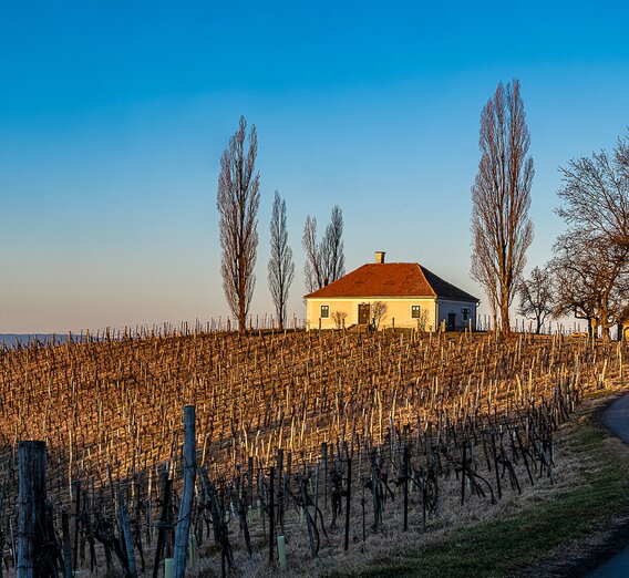 Gentle hills and mild temperatures | © Thermen- & Vulkanland | pixelmaker.at