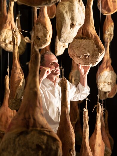Experience the flavors of Styria