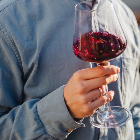 Steirische Weine verkosten | © cookingCatrin | footprints fotografie