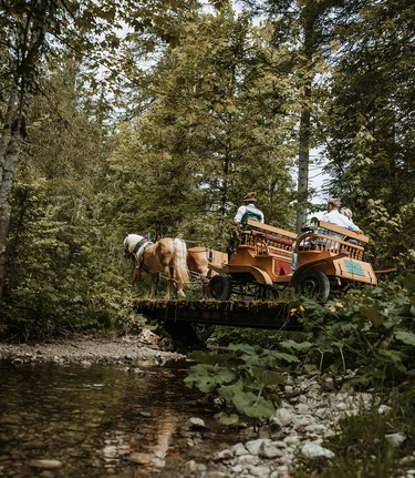 © Katrin Kerschbaumer Photography | Katrin Kerschbaumer Photography