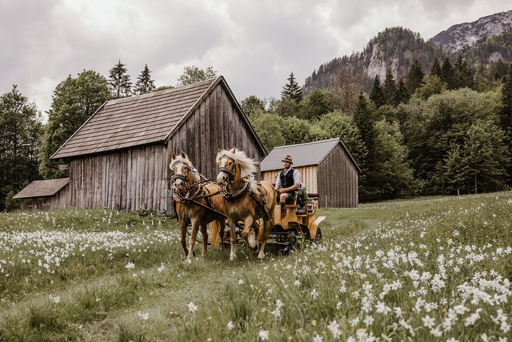 © Katrin Kerschbaumer Photography | Katrin Kerschbaumer Photography