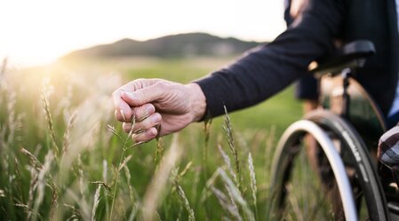 A hand of a senior man in wheelchair holding grass flower in nature. Close up. | ©Halfpoint - stock.adobe.com