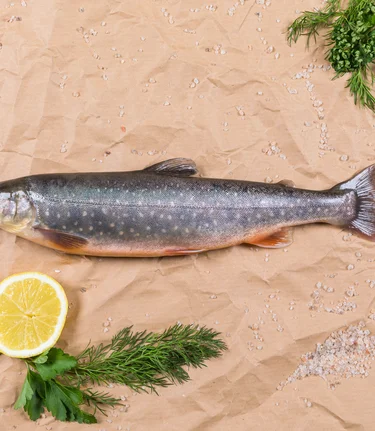 Food-Fotografie, Fisch | © (c) Martin Huber - all rights reserved | Martin Huber