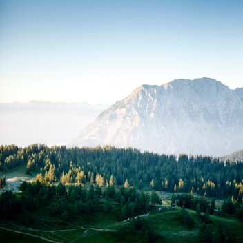© Tom Lamm  ikarus.cc | Tom Lamm