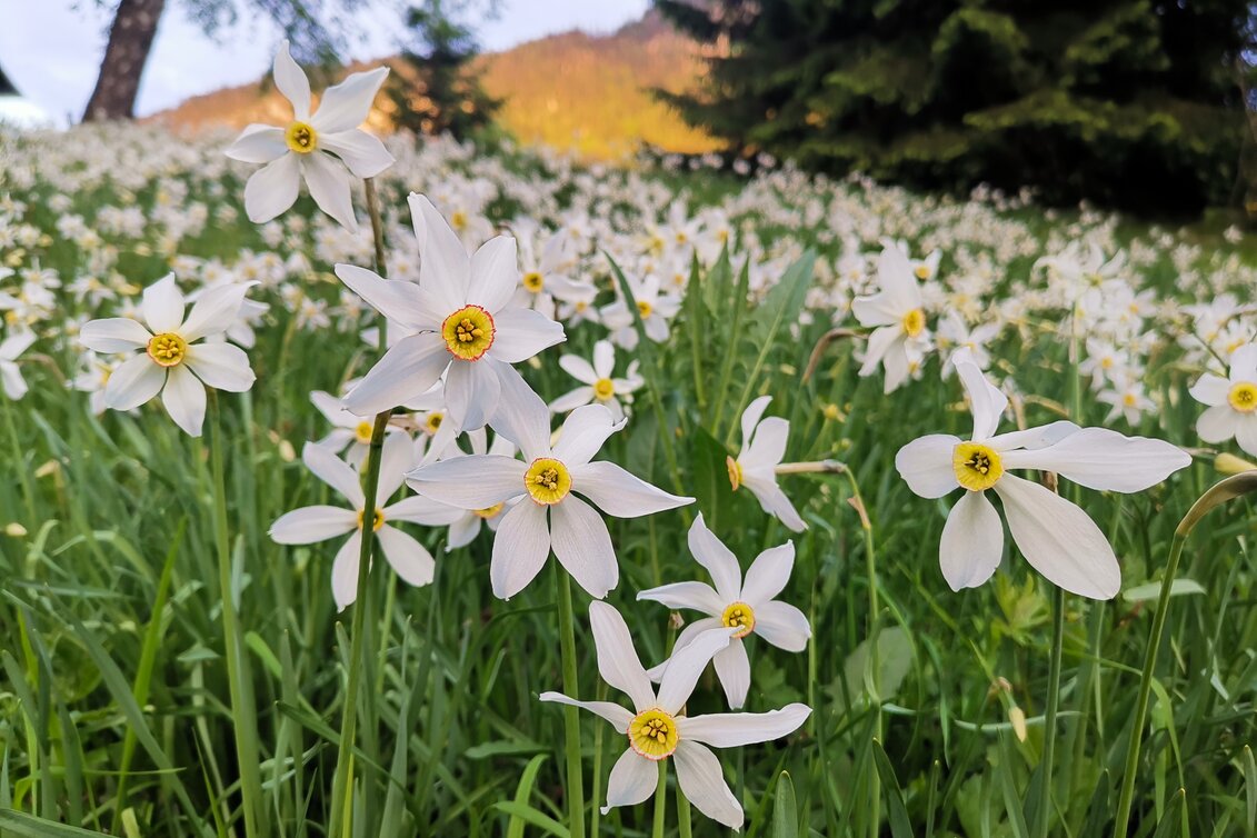 © TVB Ausseerland - Salzkammergut/Theresa Schwaiger
