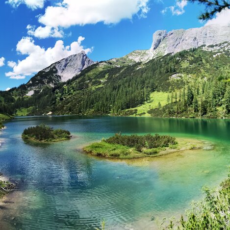Summer Tauplitzalm | © herbackcountrylife | Sabine Knoll
