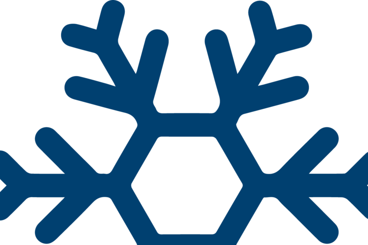 Logo of the Oststeiermark Winter Needle | © Oststeiermark Tourismus | Chiara Raith