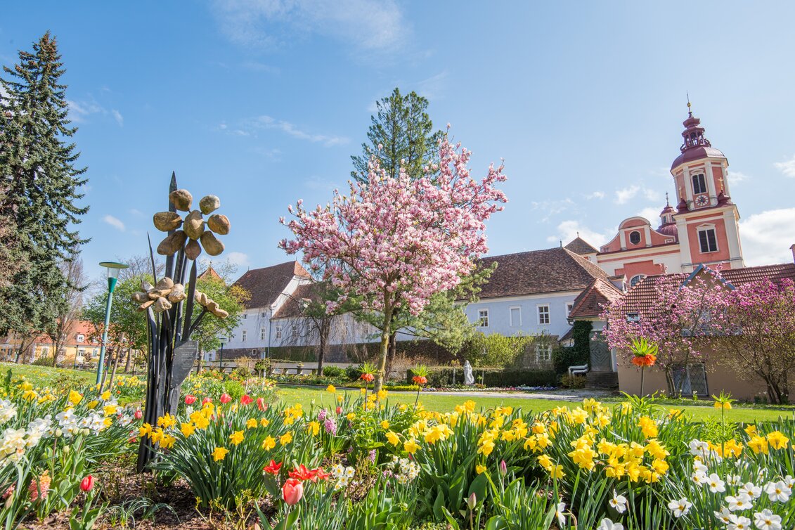 Blühende Bäume im Schlosspark Pöllau in der Oststeiermark | ©  Oststeiermark Tourismus | Helmut Schweighofer