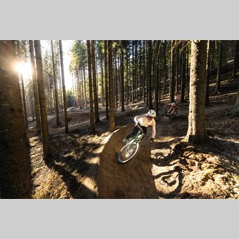Mountainbiker in einem sonnigen Wald | © Oststeiermark Tourismus | klemenskoenig.at