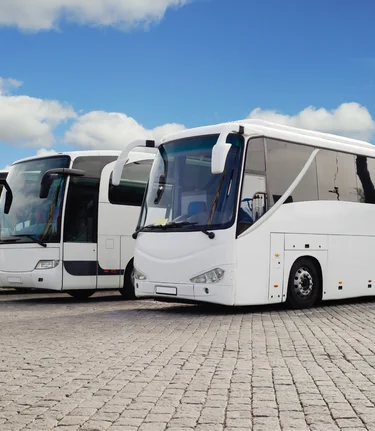 white busses in Eastern Styria | ©  Oststeiermark Tourismus | Canva