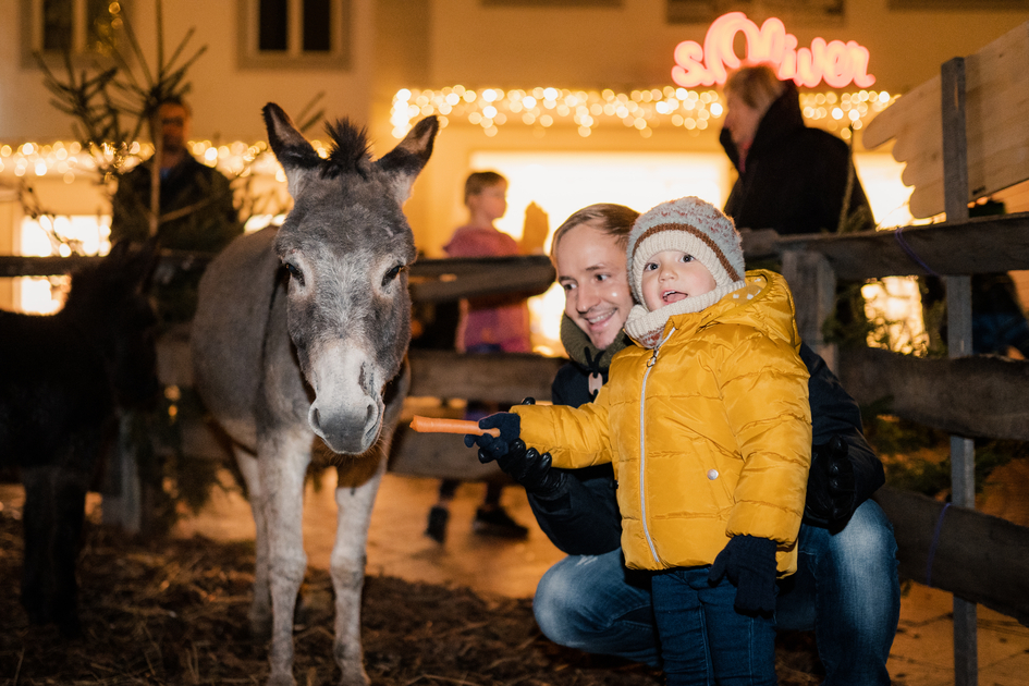 Tiere am Adventmarkt bestaunen | ©  Oststeiermark Tourismus | studio draussen | © Oststeiermark Tourismus, cmvisuals