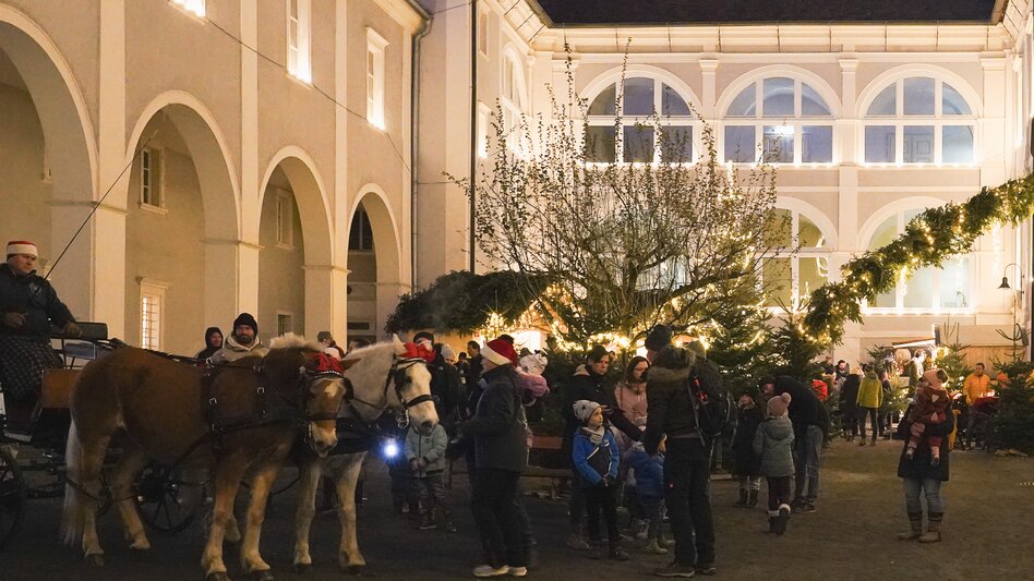 Pöllauer Advent mit Pferdekutsche
