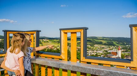 Aussicht vom Turm am Erlebnisberg Friedberg im Wechselland | © Flotoanker | Florian Luckerbauer