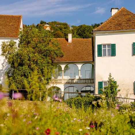 Hartberg castle in summer with flower meadow | © TV Oststeiermark | Wolfgang Spekner