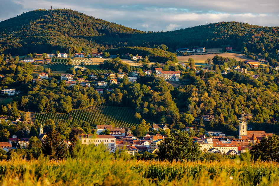 Hartberger Landschaft im Spätsommer | © TV Oststeiermark | Wolfgang Spekner